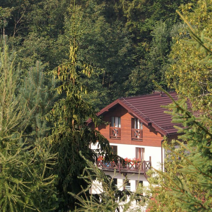 Ferienwohnung Antracyt Krynica-Zdrój Exterior foto