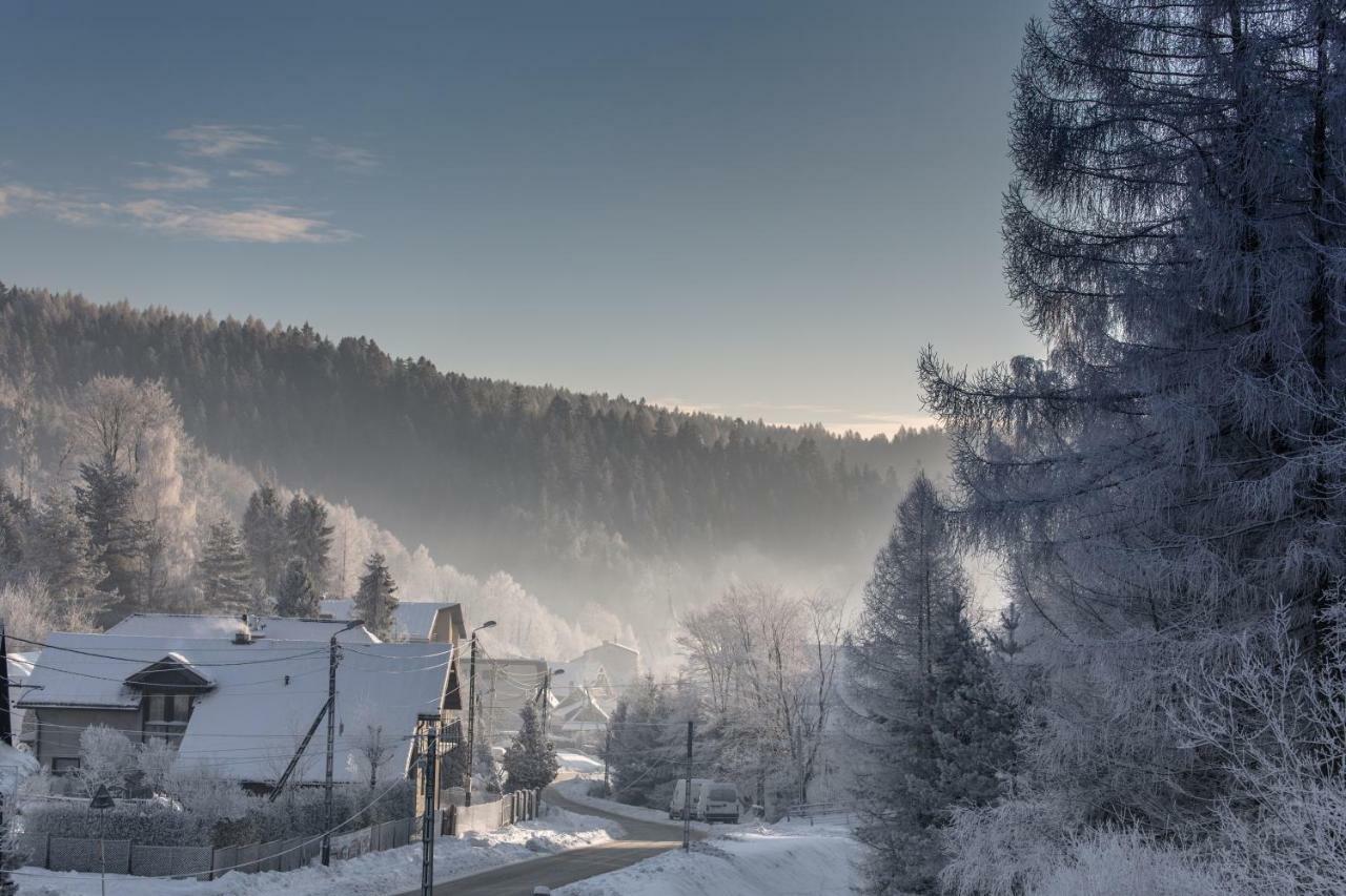 Ferienwohnung Antracyt Krynica-Zdrój Exterior foto